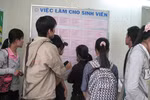 Vai trò cộng đồng chuyên viên nhân sự trong phát triển nghề nghiệp
