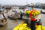 Chùm ảnh: Rực rỡ chợ hoa trên sông ở đồng bằng Cửu Long