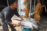 Thú rừng bị xẻ thịt la liệt trong ngày khai hội chùa Hương