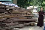  Chùa Trăm Gian bị xâm hại đến mức nào? 