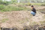 Nghi vấn xác chị Huyền được chôn... trộm ở nghĩa trang Đặng Xá?