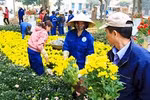 Miền Bắc ấm dần, sáng sớm có sương mù