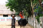"Bằng chứng bị 'chặt chém' đây thưa ông Chủ tịch UBND thị xã Sầm Sơn"