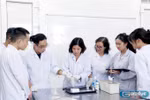 Chi 500 triệu, ưu tiên tuyển dụng nhưng có địa phương vẫn không thu hút được GS