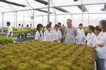 Dù ngành Lâm học chỉ lấy 15-20 điểm nhưng số thí sinh đăng ký chưa nhiều