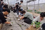 Sinh viên Trường Đại học Nông Lâm, Đại học Thái Nguyên trong một buổi học thực hành. Ảnh: website nhà trường.