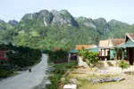 Nhiều nghi vấn ở vụ 2 cây sưa trăm tỷ bị trộm ở rừng Phong Nha-Kẻ Bàng