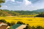 Góc ảnh: Vẻ đẹp hoang sơ của núi rừng Dakglei Kontum