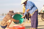 Góc ảnh độc giả: Nhịp sống êm đềm tại Đà Nẵng