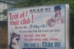 Phì cười hình ảnh 'cực độc' của độc giả sưu tầm chỉ có ở Việt Nam(P17)
