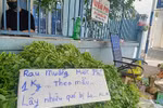 Lòng tốt bình dị và những ân tình sâu nặng với Tổ quốc!