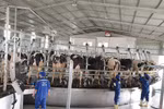 Bối cảnh mới đòi hỏi ngành Nông nghiệp cần phát triển theo hướng liên ngành 
