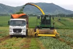 Lời giải cho bài toán phát triển kinh tế tri thức trong nông nghiệp 