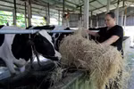 Giải pháp đột phá của Vinamilk giúp nông dân hội nhập TPP