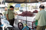 Xuất hiện nho Mỹ giá... 4.000 đồng/kg