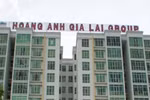 Hóa giải tin đồn, cổ phiếu Hoàng Anh Gia Lai tăng kịch trần