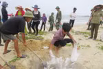 BIDV đề xuất hỗ trợ ngư dân tại các tỉnh có cá chết