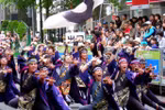 Độc đáo lễ hội Hanami đầu tiên tại Asia Park