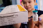 Ngưng sử dụng Quinvaxem, dùng văcxin nào thay thế?