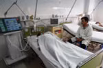 Hôn mê sâu vì ăn ốc hương, ốc lá hẹ 