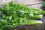 Tác dụng chữa gout, cao huyết áp hiệu quả của rau cần tây