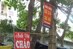 Chướng mắt với những biển quảng cáo trên các cột điện