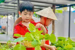 Hoạt động ngoại khóa tại Trường Mầm non VCN World giúp trẻ phát triển toàn diện