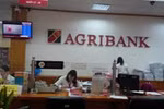 Những bất thường tiền tỷ trong việc in ấn lịch Tết của Agribank