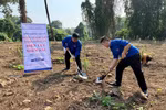 Tuổi trẻ Tổng công ty Điện lực miền Bắc trồng đồi cây "Dâng Bác - Ơn Thầy"
