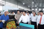Cần giải gấp bài toán thị trường xuất khẩu cho doanh nghiệp Việt
