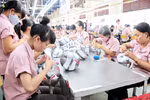 Chấm dứt Hợp đồng lao động đối với lao động nữ nuôi con dưới 12 tháng 