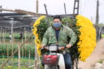 Dự kiến tháng 12, Hà Nội tổ chức Hội nghị đối thoại với Nông dân Thủ đô năm 2024