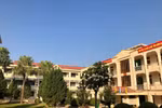 Nhu cầu GV khối NCL nhiều, sao trường sư phạm chỉ được đào tạo theo đặt hàng?