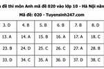 Gợi ý đáp án môn Tiếng Anh thi vào lớp 10 Hà Nội năm 2022