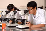 Phó Thủ tướng Vũ Đức Đam: Nghiên cứu khoa học nên khoán từ A đến Z