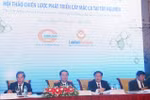 Sẽ trồng 250.000 ha cây mắc ca tại Tây Nguyên