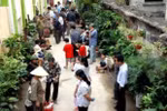 Độc đáo chợ chửi, chợ Tây giữa lòng Hà Nội
