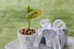 Săn quà “độc” cho phái nữ ngày 8/3