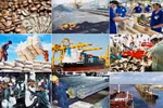Tập trung tháo gỡ vướng mắc về thể chế, tạo động lực cho sản xuất kinh doanh