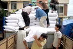 Chính phủ xuất cấp gạo cho 5 địa phương