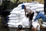 Xuất gạo dự trữ quốc gia cho tỉnh Quảng Bình