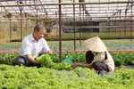 Thẳng thắn chỉ ra nguyên nhân, hạn chế trong phát triển kinh tế tập thể