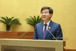 Năm 2019 có 3 người đứng đầu bị xử lý hình sự do để xảy ra tham nhũng