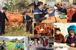 Nỗ lực hoàn thành các chương trình mục tiêu quốc gia