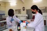 Đại học Đà Nẵng phát thông báo khẩn cho sinh viên tiếp tục nghỉ học đến 23/2