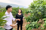Hiệu quả từ phong trào thi đua "Dân vận khéo" ở tỉnh Sơn La