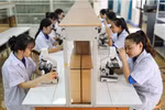 Hơn 97% doanh nghiệp nhỏ và vừa, làm sao tạo nguồn thu cho trường đại học?