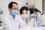 Chưa đưa ra mức học phí năm 2023-2024 vì trường ĐH lo tăng rồi lại hoàn trả SV
