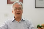 Ai chịu trách nhiệm khi ban hành văn bản gây thiệt hại cho doanh nghiệp?