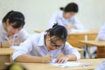 Hòa Bình: 20/23 thí sinh đạt học sinh giỏi Quốc gia là học sinh trường chuyên